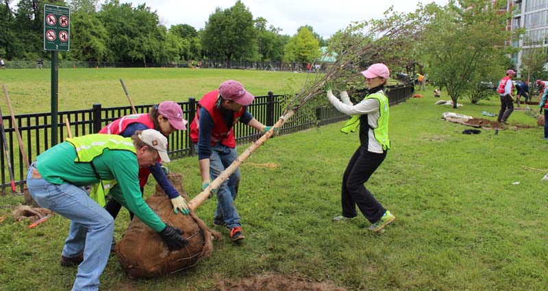 Rebecca planting tree on field