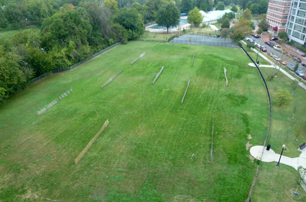 Field in November