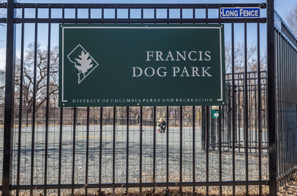 Photo of unappealing dog park