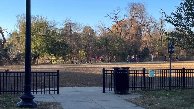 Photo of open gates to field