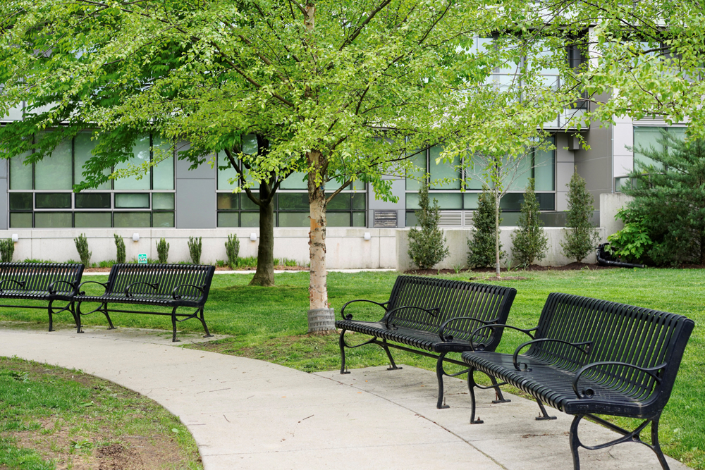 Benches in Rebecca Coder Park