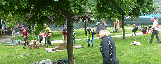 Scene of people planting trees