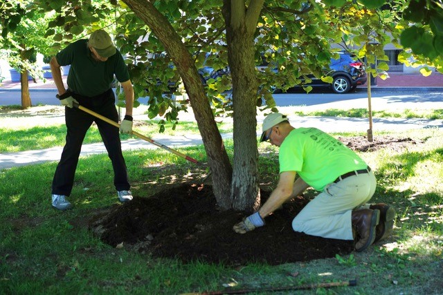 Volunteers working under tree
